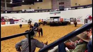 La Bella Boon  Marking 223 at NCHA World Finals [upl. by Ytima]