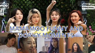 MAMAMOO FUNNY AND DORKY MOMENTS [upl. by Lindberg312]