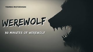 30 Minutes of Werewolf Suspense and Terror [upl. by Linis]