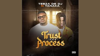 Tebza De DJ  Trust The Process feat Tanaka Official Audio [upl. by Ahsait]