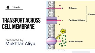 Cell Membrane Transport of Materials Across Cell Membranes Active Passive and Bulk Transport [upl. by Claman]