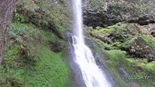 Virtual Hike Silver Falls State Park quotWinter Fallsquot 15min [upl. by Hedvig768]