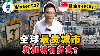 实测新加坡生活，月薪多少才可以生存？买房比租房便宜，房东还坐地起价？！ [upl. by Jozef]