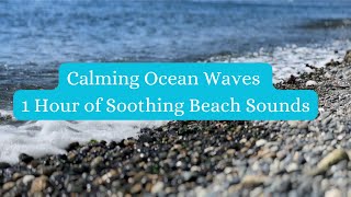 Calming Ocean Waves  1 Hour of Soothing Beach Sounds [upl. by Dalury]