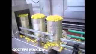 Pasteurized Pickle Processing Line by GOZTEPE MAKINA [upl. by Sellig]