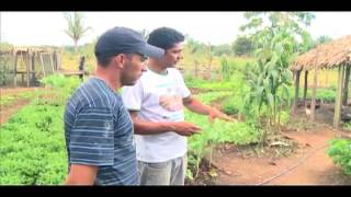 PAIS  Produção Agroecológica Integrada e Sustentável [upl. by Margaretta189]