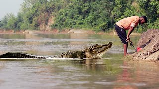 Crocodile Attacks During Fishing Expedition  Giant Nile Crocodile Attack Man Fun made Movie [upl. by Burkley]