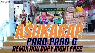 PARO PAROG REMIX ASUKARAP NON COPYRIGHT MUSIC [upl. by Ahcurb]