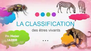 La classification des animaux 1AC partie 1 [upl. by Lynett]