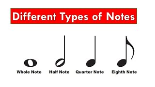 Music Theory For Beginners  Different Types of Notes  Whole Half Quarter 8th and 16th Notes [upl. by Madeline]