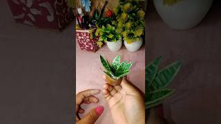 DIY mini plants making 😱day 111diyytshortsshorts [upl. by Ellis768]