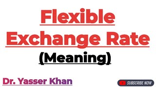 Flexible Exchange Rate  Meaning Of Flexible Exchange Rate  Foreign Exchange  Economics  CUET UGC [upl. by Faria375]