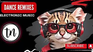 Dance remixes  ncs ncs nocopyrightmusic electronicmusic houseremix danceremix [upl. by Annadiane]