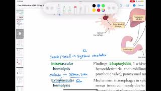 Intravascular hemolysis haematology 43 First Aid USMLE Step 1 in UrduHindi [upl. by Mcgray]