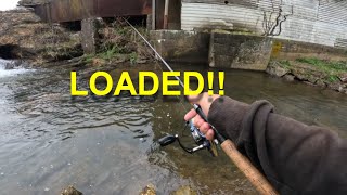 SMALL STREAM BROOK TROUT FISHING Loaded [upl. by Asaert311]