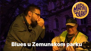 Blues u Zemunskom parku  Operacija Fataljist [upl. by Aihseit]