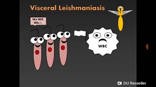 Introduction to Haemoflagellates amp Visceral leishmaniasis سوطيات الدم والليشمانيا الحشوية [upl. by Nuj]