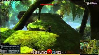 Guild Wars 2 Caledon Forest Vista  Ogham Wilds North [upl. by Alacim918]