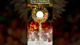 Prayer in Adoration of the Blessed Sacrament [upl. by Lalla]