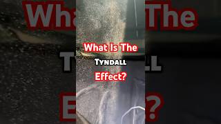 What is The Tyndall Effect 🤯 tyndalleffect interesting [upl. by Assenay]