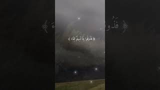 Stress releaving Quran recitationyoutube viralshortnatureislam [upl. by Aicala463]