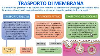 LA MEMBRANA PLASMATICA  Trasporto Attivo Passivo e Vescicolare [upl. by Blainey]