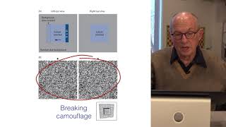 Random Dot Stereograms and the Correspondence Problem  Visual Perception and the Brain [upl. by Erwin590]