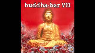 BuddhaBar VIII  CD1 [upl. by Saihtam]