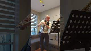 Sonata in D majör short version flute flüt yanflüt flutist scarlatti yanflütdersi sonata [upl. by Eynttirb821]