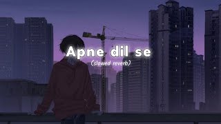 Apne dil se mera Slowed Reverb SongSlowed Reverb Apne dil se hai Slowed Reverb LSR songs [upl. by Abdel]