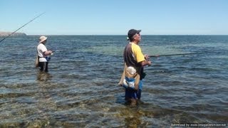 Fishing for Garfish in St Vincent Gulf South Australia [upl. by Sama]