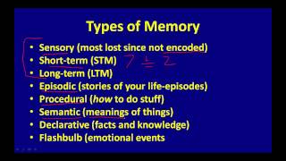 Types of Memory [upl. by Moria]