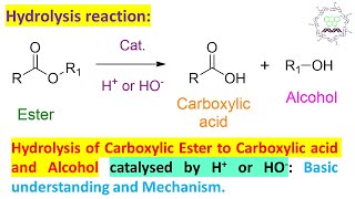 Ester Hydrolysis or Hydrolysis of Carboxylic acid esters by acid or basecatalyzed [upl. by Akir754]