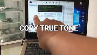 CARA COPY TRUE TONE IPHONE XR [upl. by Itnaihc460]