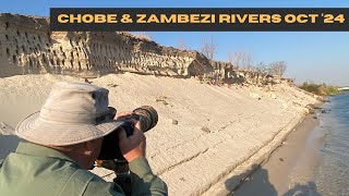 Chobe amp Zambezi River October 2024 [upl. by Assilem174]