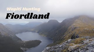 Wapiti Hunting Fiordland NZ [upl. by Sille]