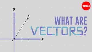 What is a vector  David Huynh [upl. by Warton865]