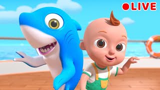 Baby Shark  more Nursery Rhymes  Beep Beep Nursery Rhymes amp Baby Songs [upl. by Weston]