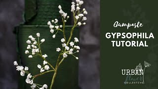 How to make a gumpaste  flower paste  sugar Gypsophila branch  a step by step tutorial [upl. by Animrelliug804]