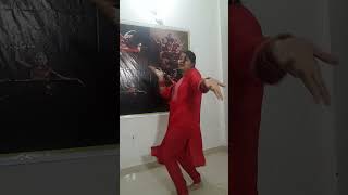 Mitran Di Chatri  Babbu Maan  Punjabi Dance [upl. by Anyl514]