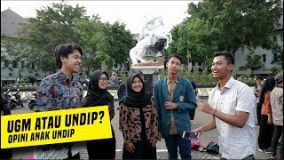 PILIH UGM ATAU UNDIP  OPINI ANAK UNDIP [upl. by Nnyliram]