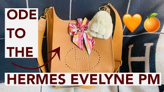 ODE TO THE HERMES EVELYNE PM 👀🍊🧡 Best hermes starter bag Is it for you review [upl. by Dor]