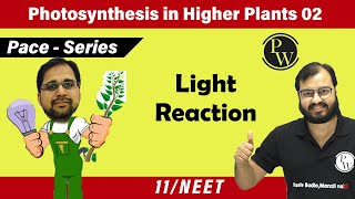 Photosynthesis in Higher Plants 02  Light Reaction I Class 11 l Pace Series [upl. by Addy]