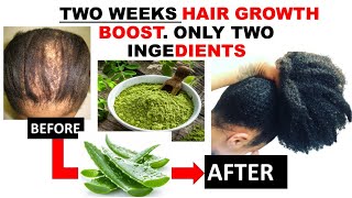 Moringa and Aloe Vera for Extreme Hair Growth  100 Guaranteed Secret [upl. by Noet]