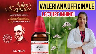 VALERIANA OFFICINALE homeopathic medicine from Allen’s keynote materia medica in Hindi [upl. by Scharff834]