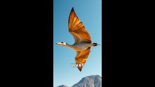 The Amazing World of Pterosaurs [upl. by Neelhtakyram]