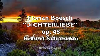 Florian Boesch quotDICHTERLIEBEquot op 48 Robert Schumann [upl. by Amarette621]