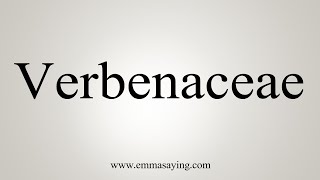 How To Say Verbenaceae [upl. by Durham827]