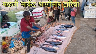 मछली मार्केट शालीमार  Fish Market Shalimar  Fish market [upl. by Kele]