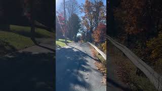 Shaver Ave  ShavertownPA  Road Walking Fall [upl. by Kidd]